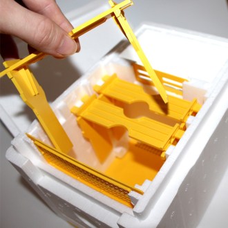 Oplodniačik - Mellarius - na 1 matku